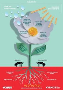 Flower of participation, by YouAct and CHOICE for Youth and Sexuality